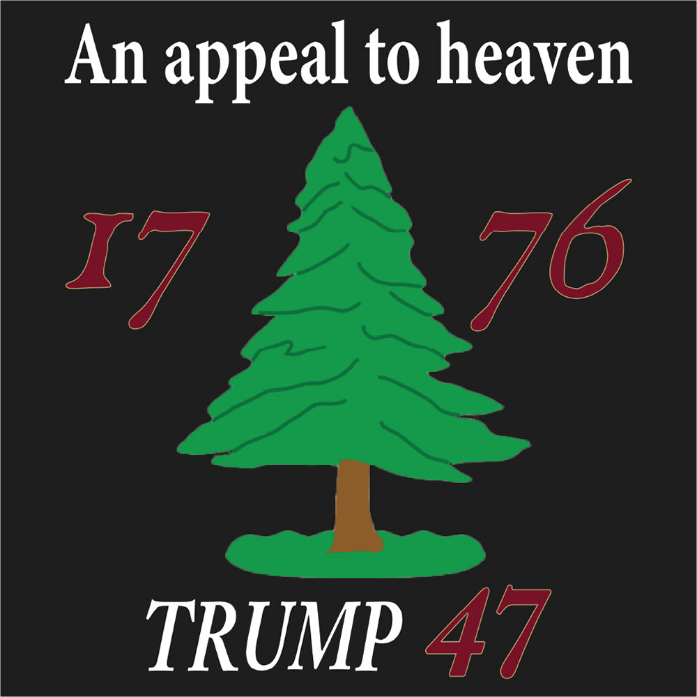 An Appeal to Heaven  Unisex t-shirt