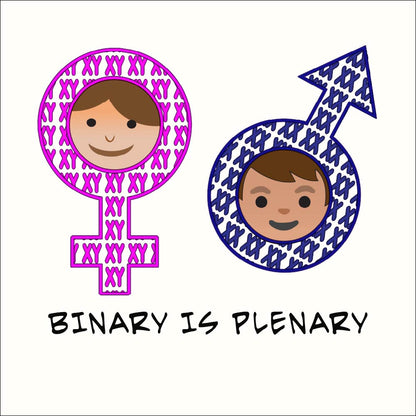 Binary  is  Plenary  Unisex t-shirt