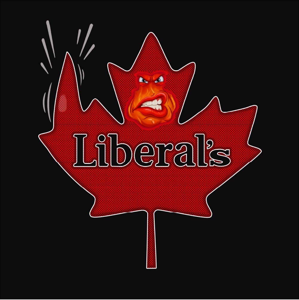 Forsake Liberals  Unisex t-shirt