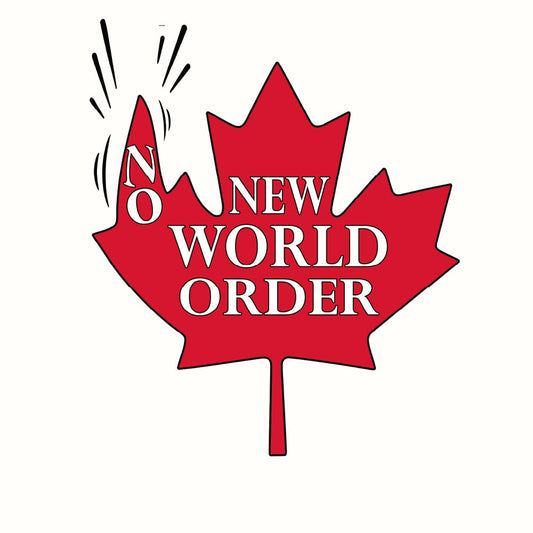 No New World Order  Unisex classic tee